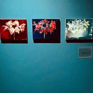 Ausstellung Villa Mondrian bildende Künstlerin Alexandra Meerdink 2