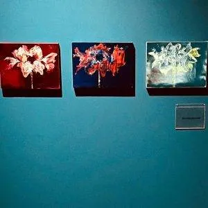 Expositie Villa Mondriaan beeldend kunstenaar Alexandra Meerdink 2