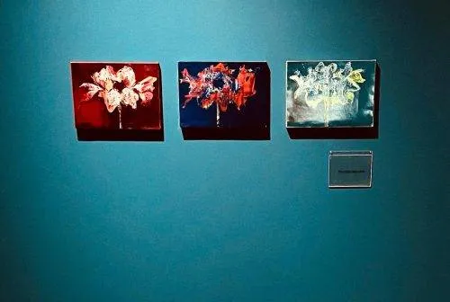 Expositie Villa Mondriaan beeldend kunstenaar Alexandra Meerdink 2