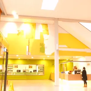 Kunstopdracht openbare ruimte Gemeentehuis Winterswijk door kunstenares Alexandra Meerdink