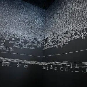 Biënnale Venetië, kunstenares Alexandra Meerdink